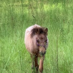 Meet your Posher, Lynne